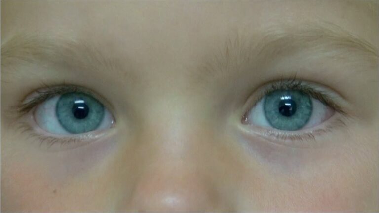 Descubre cuántos colores de ojos existen en la realidad