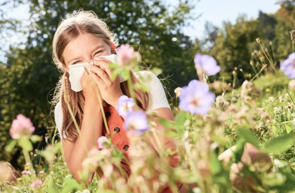 síntomas de alergia al polen o primavera